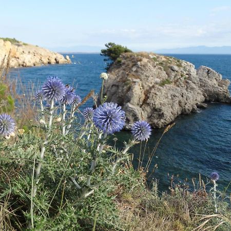 Apartamento Punta Montgo Port De Rei L' Escala エクステリア 写真
